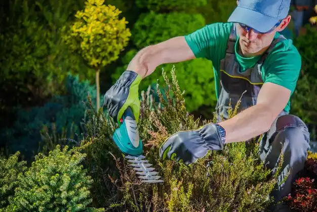 landscaping services Silver Creek